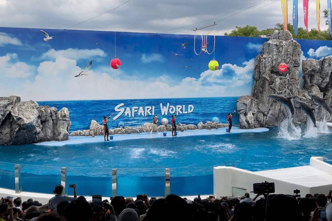 Safari-World-3