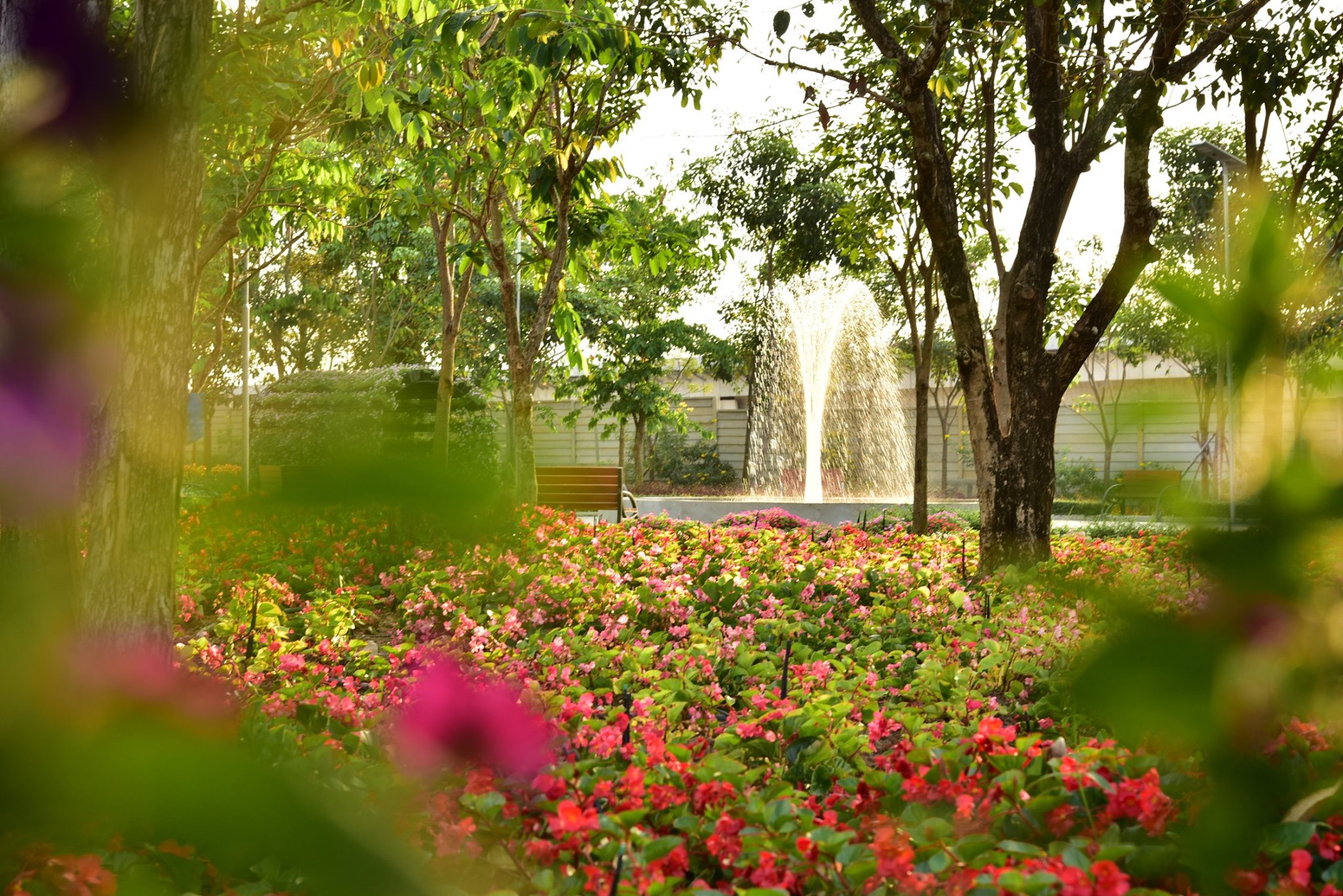 Flower-Land-Pattaya-4