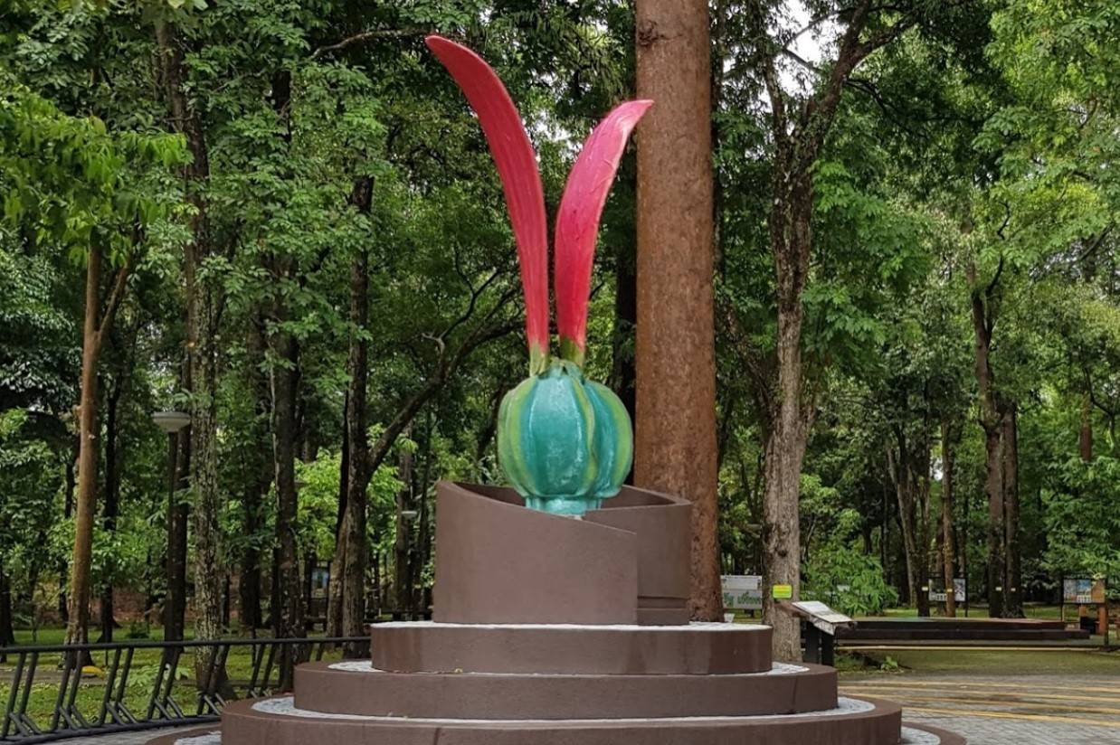 Huay-Kaew-Arboretum-2