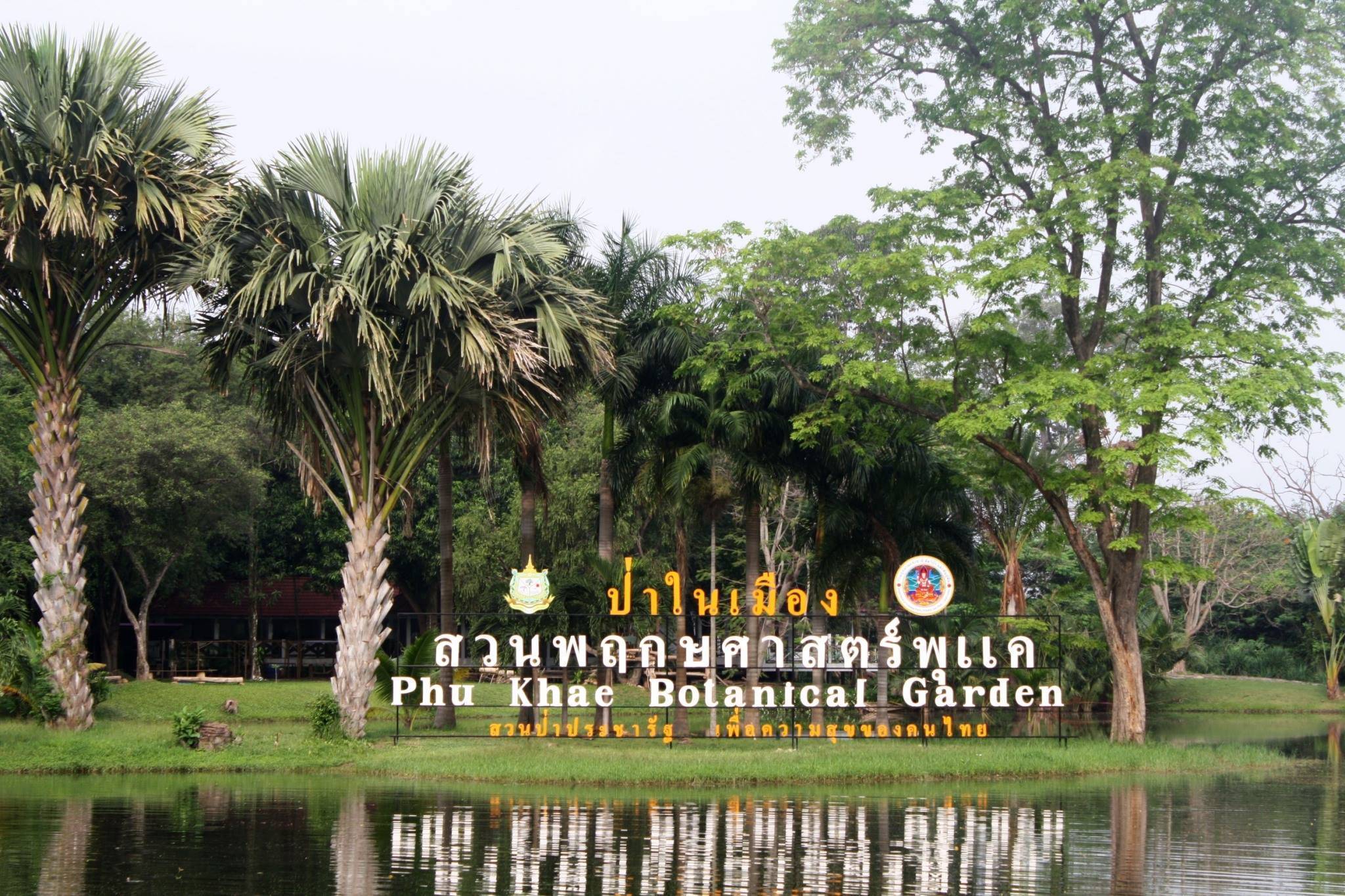 Phu-Khae-Botanical-Garden-4