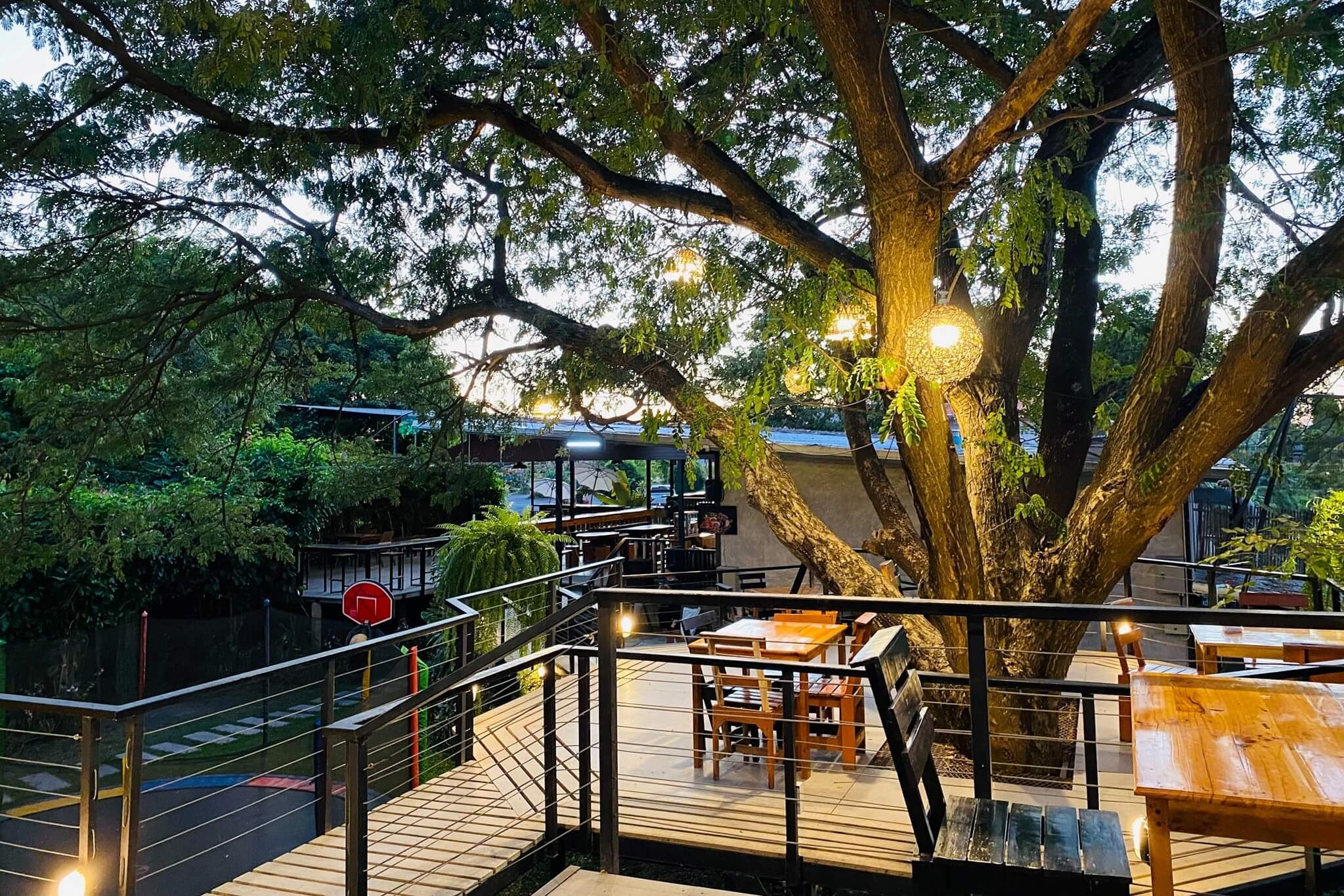 The-tree-cafe-at-Phophraya1