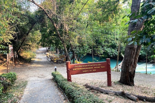 Wang-Kan-Lueang-Arboretum-3