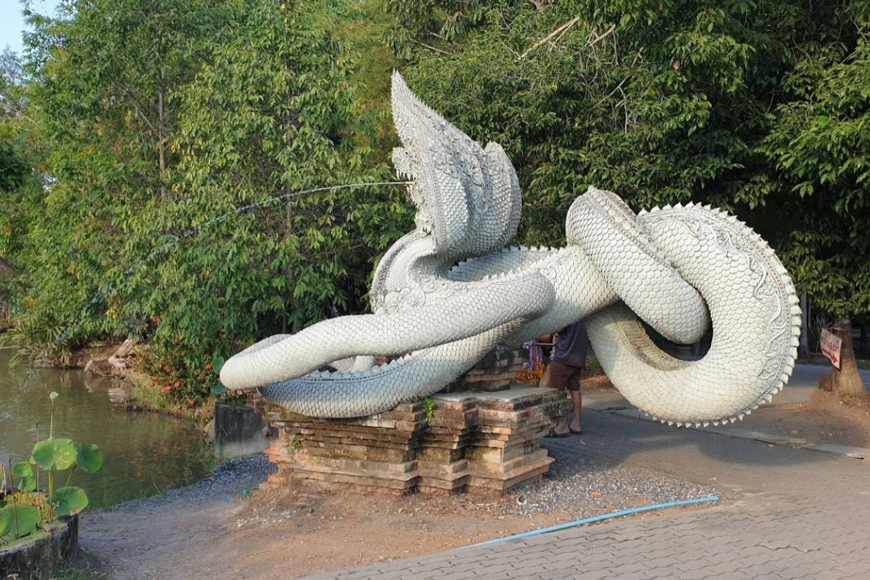 Wat-Pa-Klong-11-3