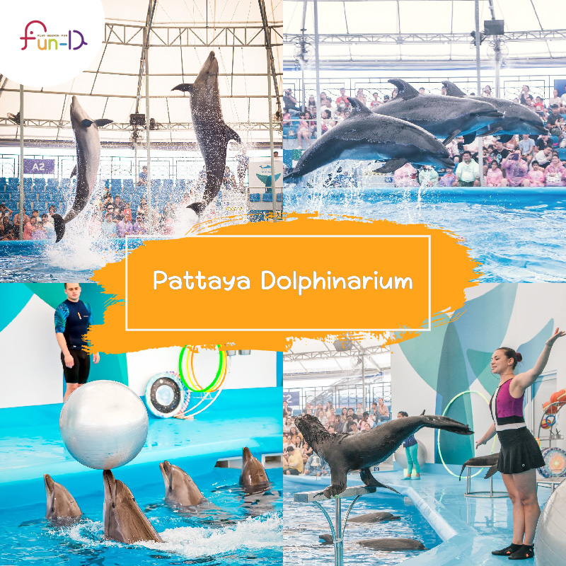 ที่เที่ยวพัทยาสำหรับเด็ก Pattaya Dolphinarium