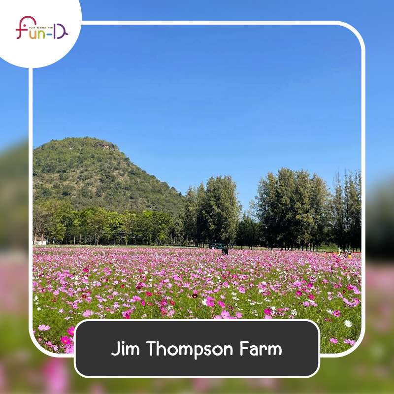 ชี้พิกัด สวนดอกไม้ น่าเที่ยวในฤดูหนาว Jim Thompson Farm